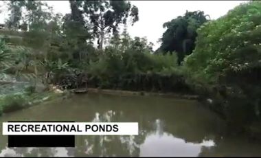 Dijual Lahan Potensial di Maribaya Timur, Lembang, Bandung, Jawa Barat