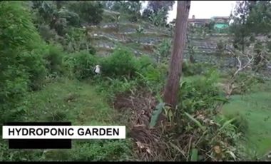 Dijual Lahan Potensial di Maribaya Timur, Lembang, Bandung, Jawa Barat