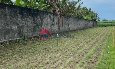 Dijual Tanah di Katang Kediri Dekat Kawasan Kuliner & Perhotelan