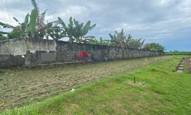 Dijual Tanah di Katang Kediri Dekat Kawasan Kuliner & Perhotelan