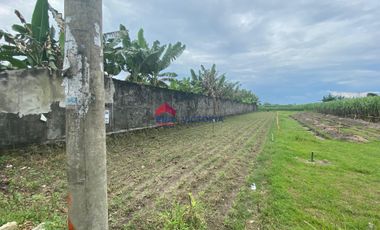 Dijual Tanah di Katang Kediri Dekat Kawasan Kuliner & Perhotelan