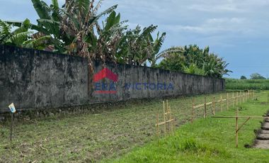 Dijual Tanah di Katang Kediri Dekat Kawasan Kuliner & Perhotelan