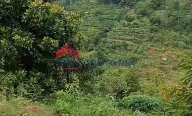 Tanah Jual di Semen Kab Kediri Cocok Untuk Kebun