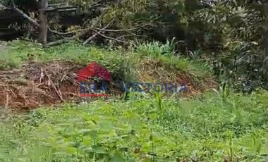 Tanah Jual di Semen Kab Kediri Cocok Untuk Kebun