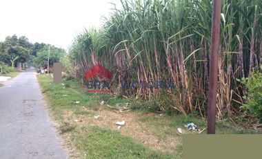 Tanah dijual di Gurah, Kediri Kabupaten