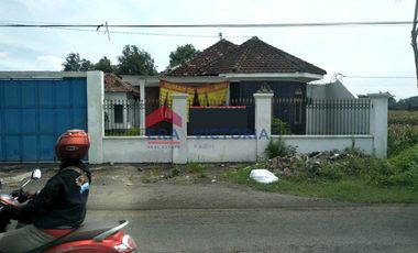 Rumah + Sawah DIJUAL terletak di jalan raya