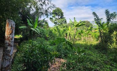 DIJUAL TANAH DI TEMPURAN AREA PEMUKIMAN BAGUS UNTUK PERUMAHAN