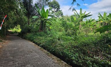 DIJUAL TANAH DI TEMPURAN AREA PEMUKIMAN BAGUS UNTUK PERUMAHAN