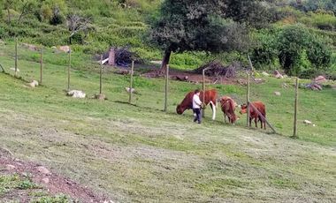 Parcela en venta en REQUINOA