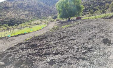 Parcela en venta en REQUINOA