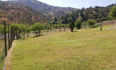 Parcela en venta en REQUINOA