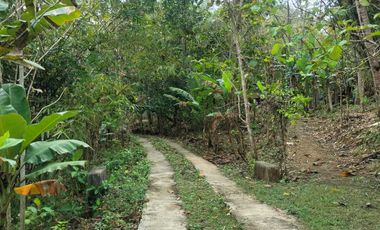 JUAL TANAH DI SENDANGSARI PENGASIH KULONPROGO