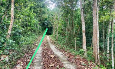 JUAL TANAH DI SENDANGSARI PENGASIH KULONPROGO