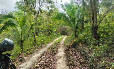 JUAL TANAH DI SENDANGSARI PENGASIH KULONPROGO