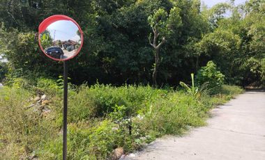 Tanah Kebun Kebon Kapling Komersial Gemuh Blanten Kendal