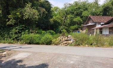 Tanah Kebun Kebon Kapling Komersial Gemuh Blanten Kendal