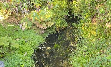 HERMOSA PARCELA A SÓLO 15 MINUTOS DEL CENTRO DE PANGUIPULLI