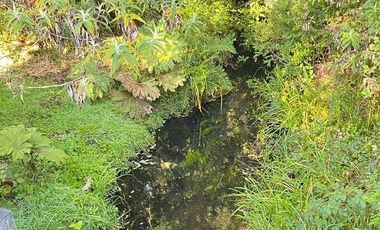 HERMOSA PARCELA A SÓLO 15 MINUTOS DEL CENTRO DE PANGUIPULLI