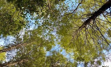 HERMOSA PARCELA A SÓLO 15 MINUTOS DEL CENTRO DE PANGUIPULLI