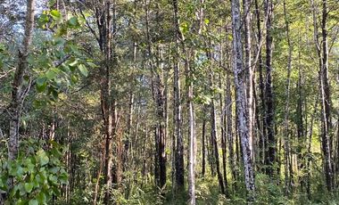 HERMOSA PARCELA A SÓLO 15 MINUTOS DEL CENTRO DE PANGUIPULLI