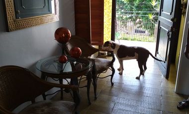Casa sola con 4 recamaras con alberca en Burgos Cuernavaca, Temixco, Mor.