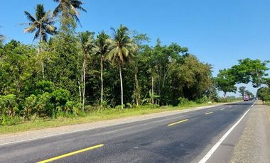 Tanah Strategis Murah Dekat Kota Purworejo