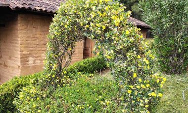 CABAÑA EN VENTA EN ZIRAHUEN MICHOACAN