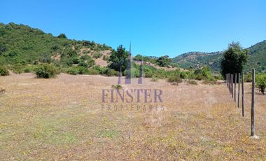 Vendo 2  Parcelas de 5.000 m2 . Peralillo, Region O'Higgins