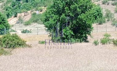 Vendo 2  Parcelas de 5.000 m2 . Peralillo, Region O'Higgins