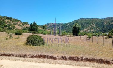 Vendo 2  Parcelas de 5.000 m2 . Peralillo, Region O'Higgins