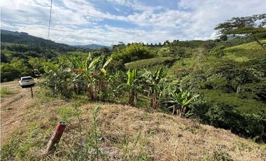 VENTA LOTE TARAPACA CHINCHINA