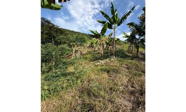 VENTA LOTE TARAPACA CHINCHINA