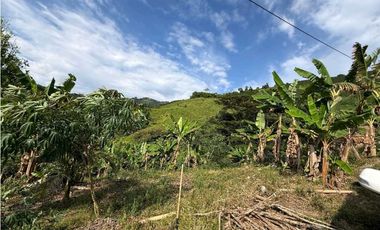 VENTA LOTE TARAPACA CHINCHINA