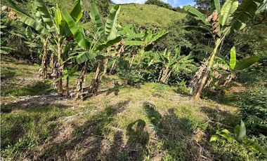 VENTA LOTE TARAPACA CHINCHINA