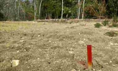 Dekat Pasar Godean, Rumah Dijual Jogja Type 50 Klasik, Harga Murah