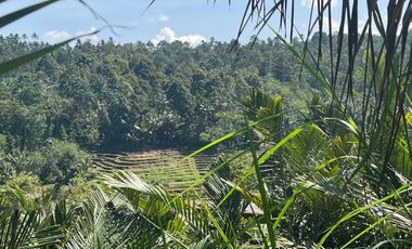 Di jual tanah dengan view gunung dan sawah di ketinggian 600 MDPL