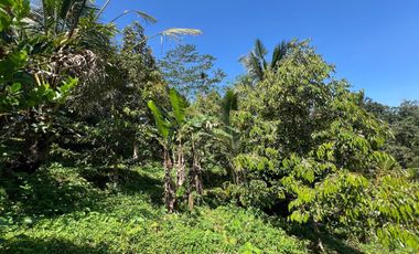 Di jual tanah dengan view gunung dan sawah di ketinggian 600 MDPL