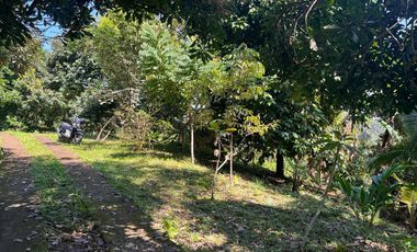 Di jual tanah dengan view gunung dan sawah di ketinggian 600 MDPL