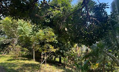 Di jual tanah dengan view gunung dan sawah di ketinggian 600 MDPL