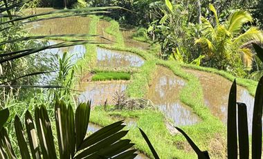 Di jual tanah dengan view gunung dan sawah di ketinggian 600 MDPL