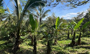 Di jual tanah dengan view gunung dan sawah di ketinggian 600 MDPL