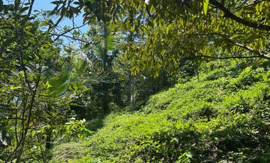 Di jual tanah dengan view gunung dan sawah di ketinggian 600 MDPL