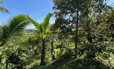 Di jual tanah dengan view gunung dan sawah di ketinggian 600 MDPL