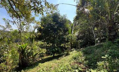 Di jual tanah dengan view gunung dan sawah di ketinggian 600 MDPL