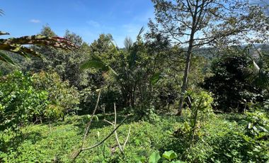 Di jual tanah dengan view gunung dan sawah di ketinggian 600 MDPL