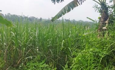 Tanah wagir murah dijual cepat