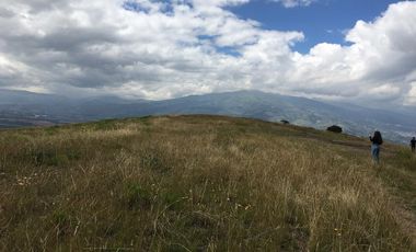 Venta terreno Cochasquí, 60ha para sembrar Flores, Sábila...