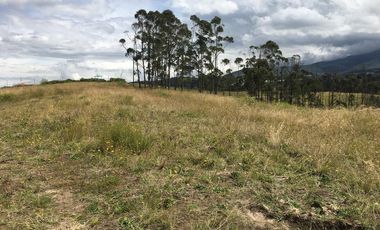 Venta terreno Cochasquí, 60ha para sembrar Flores, Sábila...