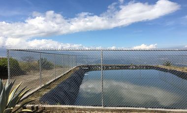 Venta terreno Cochasquí, 60ha para sembrar Flores, Sábila...