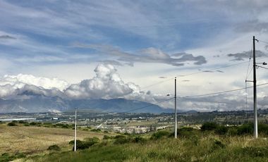 Venta terreno Cochasquí, 60ha para sembrar Flores, Sábila...